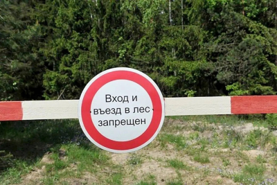 С 25 апреля в Бобруйском районе введен запрет на посещение лесов