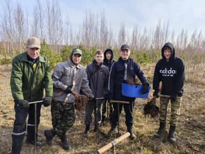 К акции «Дай лесу новае жыццё!» присоединились воспитанники Глушанского школьного лесничества