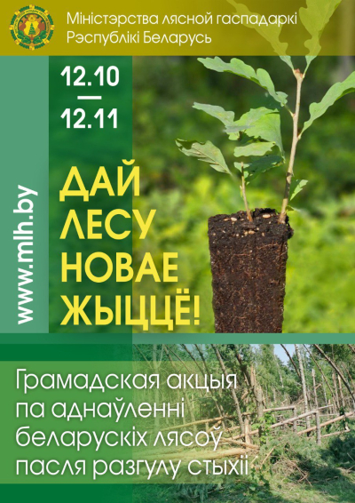 &quot;ДАЙ ЛЕСУ НОВАЕ ЖЫЦЦЁ!&quot;. МИНЛЕСХОЗ ПРОВЕДЕТ АКЦИЮ ПО ВОССТАНОВЛЕНИЮ ВЕТРОВАЛЬНО-БУРЕЛОМНЫХ УЧАСТКОВ